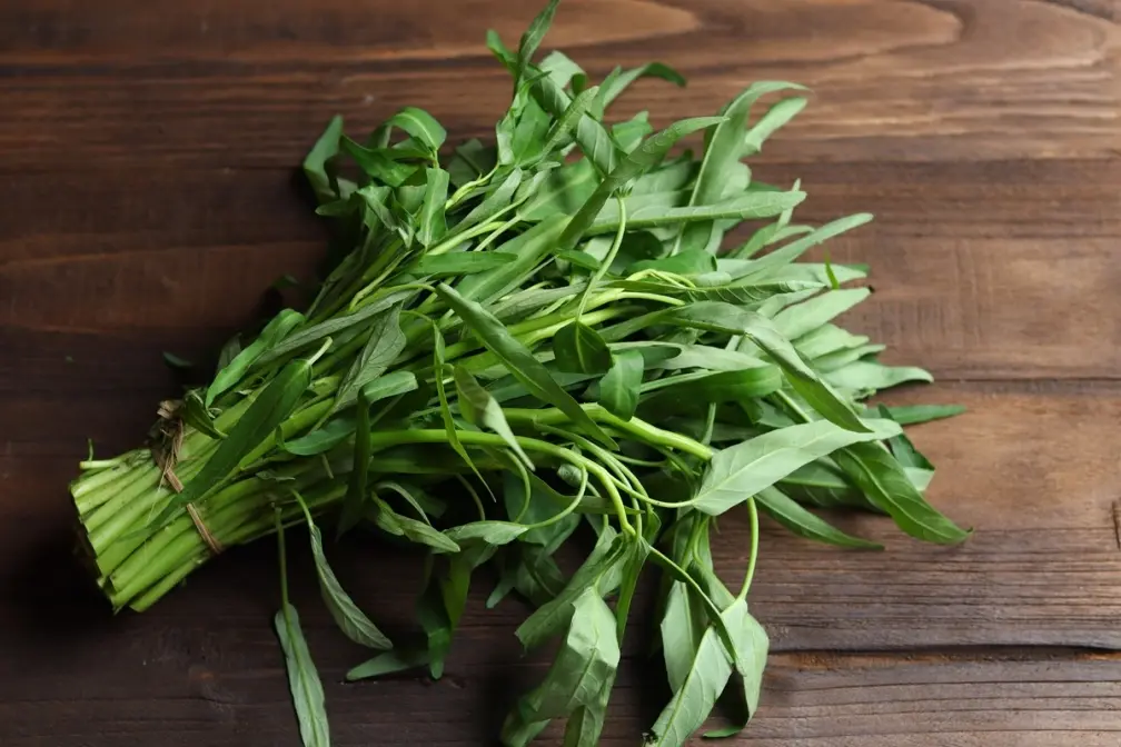 蚵仔煎加什麼菜最對味?農糧署激推4種,網友點名「它」根本邪魔歪道 蚵仔煎加什麼菜最對味?農糧署激推4種,網友點名「它」根本邪魔歪道