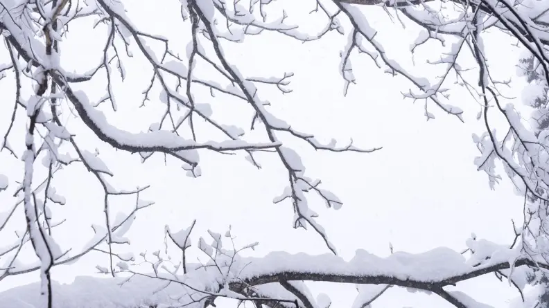 12/7「大雪」禁忌、習俗一次看！「棉被蓋頭」恐損運勢，３生肖財運旺炸