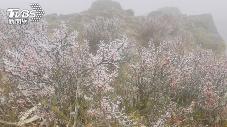 今年「初雪」出現了!武嶺下冰霰、玉山出霧淞,明起夜寒恐達冷氣團強度 今年「初雪」出現了!武嶺下冰霰、玉山出霧淞,明起夜寒恐達冷氣團強度