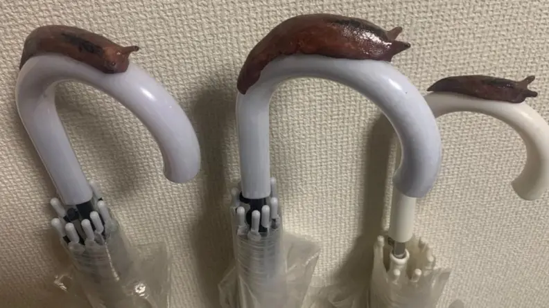 雨傘常被偷好煩！他出奇招放上「防竊神器」，2.3萬人按讚跪求：哪裡買