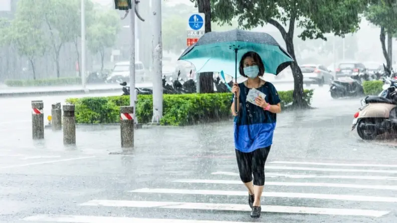 「蘇力」颱風最快今生成！「葡萄桑」最新路徑曝，全台連炸４天雨