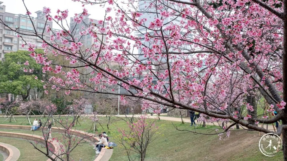 打敗內灣、六福村!「新竹最夯景點」半年吸228萬人,看動物、賞花還能走廟 打敗內灣、六福村!「新竹最夯景點」半年吸228萬人,看動物、賞花還能走廟
