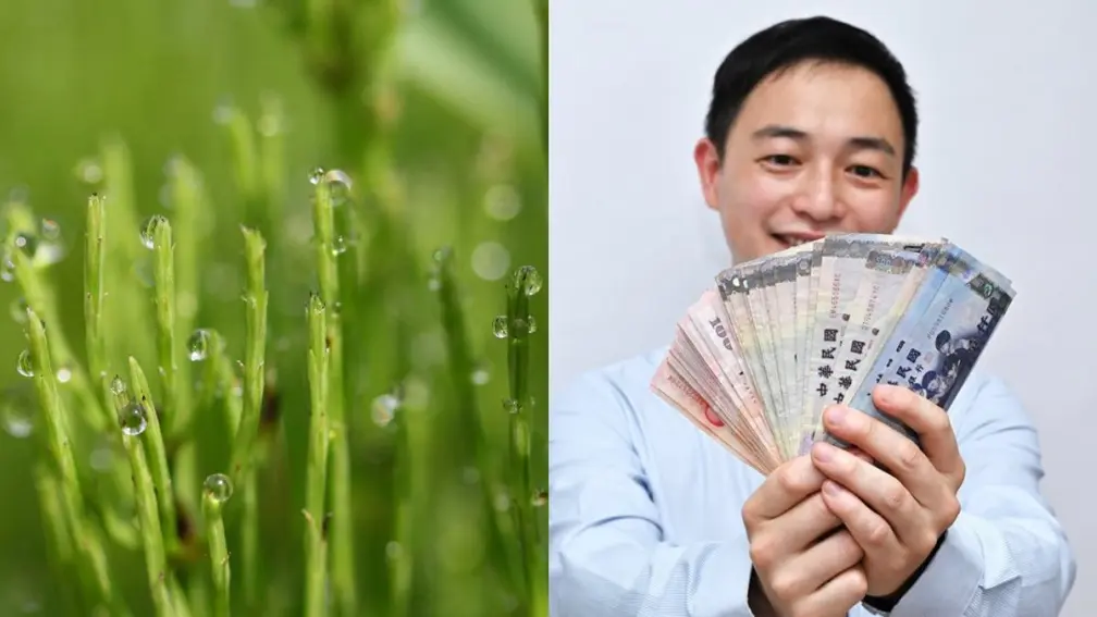 10/8寒露習俗禁忌一次看!家中放1物可開運防小人,屬龍者小心破財