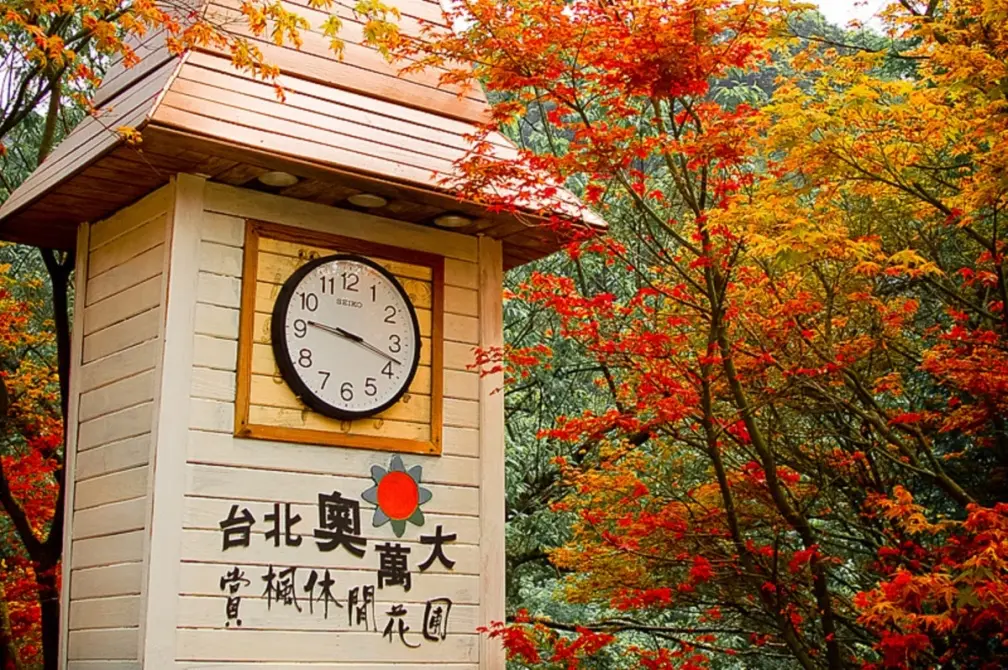 全台賞楓景點推薦Top10!賞楓秘境、楓葉時間一次看,「這裡」還能泡溫泉 全台賞楓景點推薦Top10!賞楓秘境、楓葉時間一次看,「這裡」還能泡溫泉