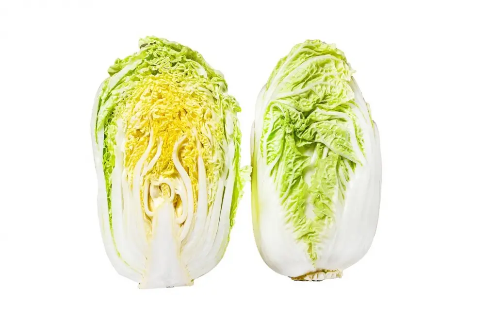 大白菜葉子有黑點能吃嗎?怎麼樣算壞掉?菜販給答案:看到「這狀況」別食用 大白菜葉子有黑點能吃嗎?怎麼樣算壞掉?菜販給答案:看到「這狀況」別食用