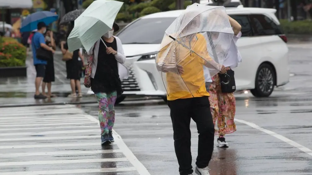 全台變天防雨！今年第１個颱風「蝴蝶」恐生成，專家揭對台影響機率、路徑