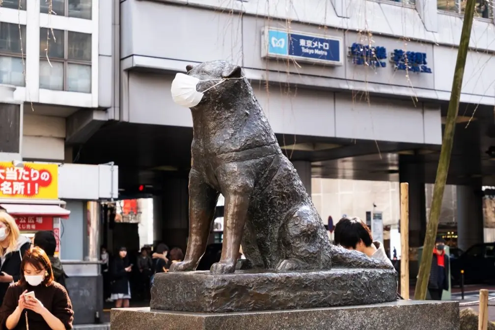 不是新冠！日本正流行「１病」嚴重恐身亡，防疫辦法、確診症狀一次看