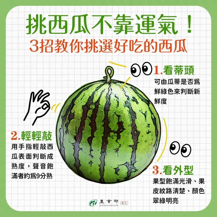 切西瓜驚見螺旋紋如「惡魔果實」!內行人急喊別吃,教3招挑瓜保證甜又多汁 切西瓜驚見螺旋紋如「惡魔果實」!內行人急喊別吃,教3招挑瓜保證甜又多汁