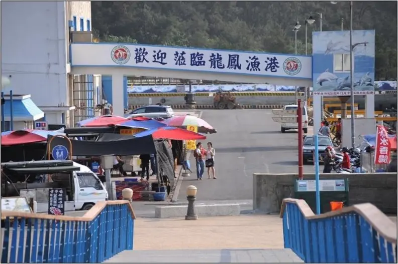 龍鳳漁港一日遊攻略|苗栗竹南人氣魚市美食、海景步道、現撈海鮮推薦! 龍鳳漁港介紹