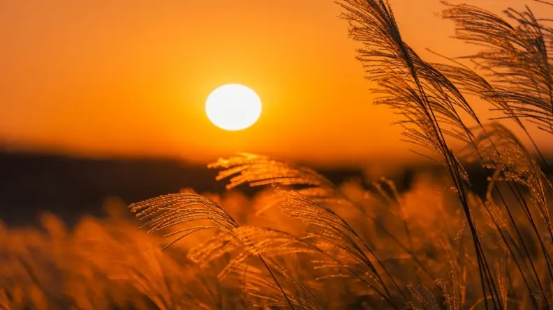 2025立秋時間與習俗禁忌全攻略｜立秋養生吃什麼？習俗、禁忌一次看懂！