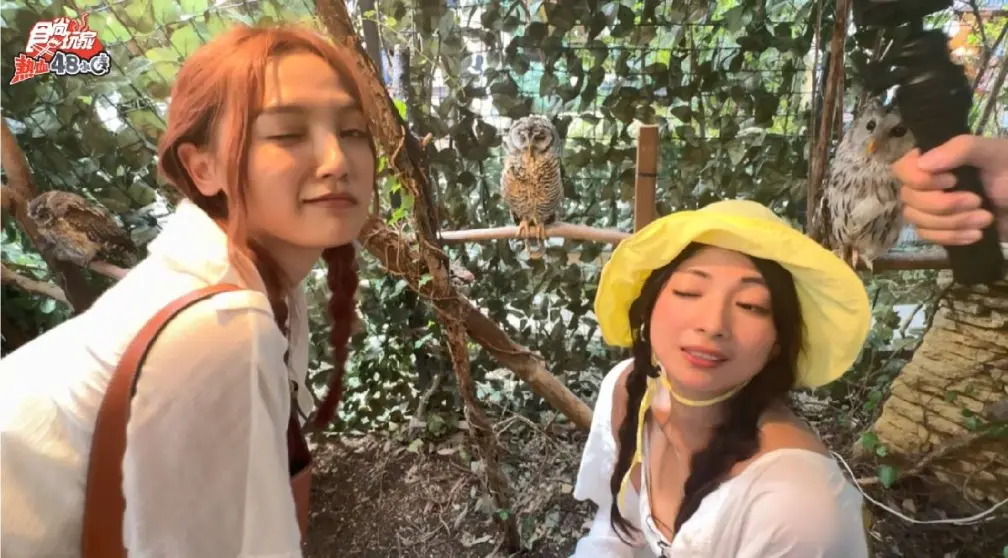 彷彿走入童話小鎮!巧遇滿滿貓頭鷹超呆萌,風田餐廳脫光趕泡湯 彷彿走入童話小鎮!巧遇滿滿貓頭鷹超呆萌,風田餐廳脫光趕泡湯