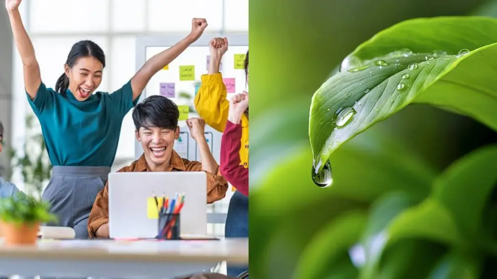 10/8寒露習俗禁忌！４生肖有望事業財運飆升，家中１物快換掉以免衰整年