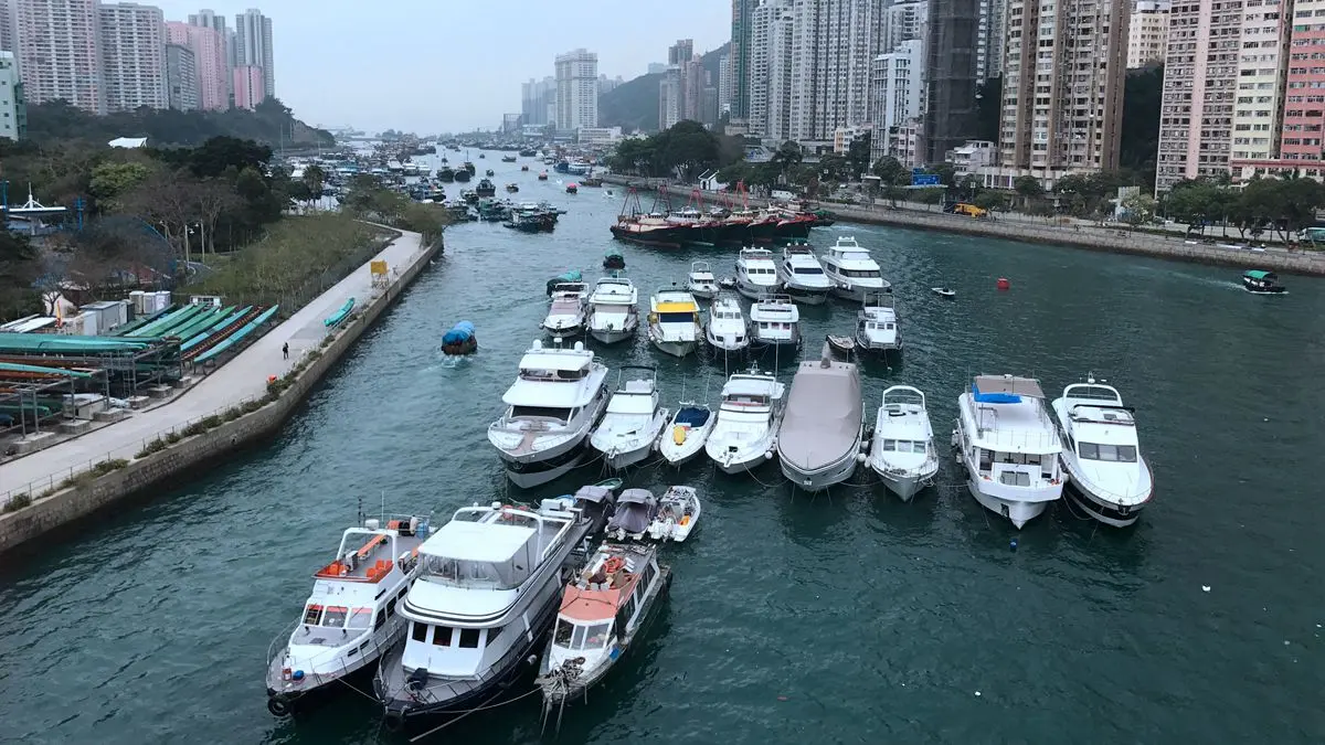 香港資深旅遊記者帶你玩  鴨脷洲找神出鬼沒艇仔粉