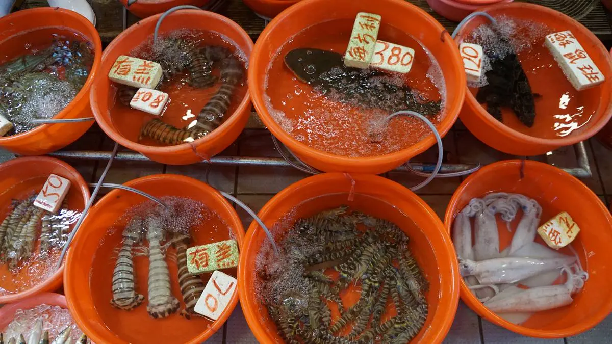 香港資深旅遊記者帶你玩  鴨脷洲找神出鬼沒艇仔粉