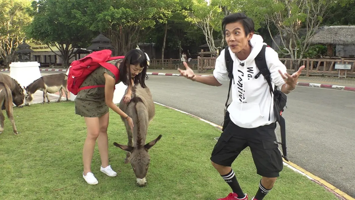 想被長頸鹿舔! 在夜晚的動物園與巨獸接觸 想被長頸鹿舔! 在夜晚的動物園與巨獸接觸