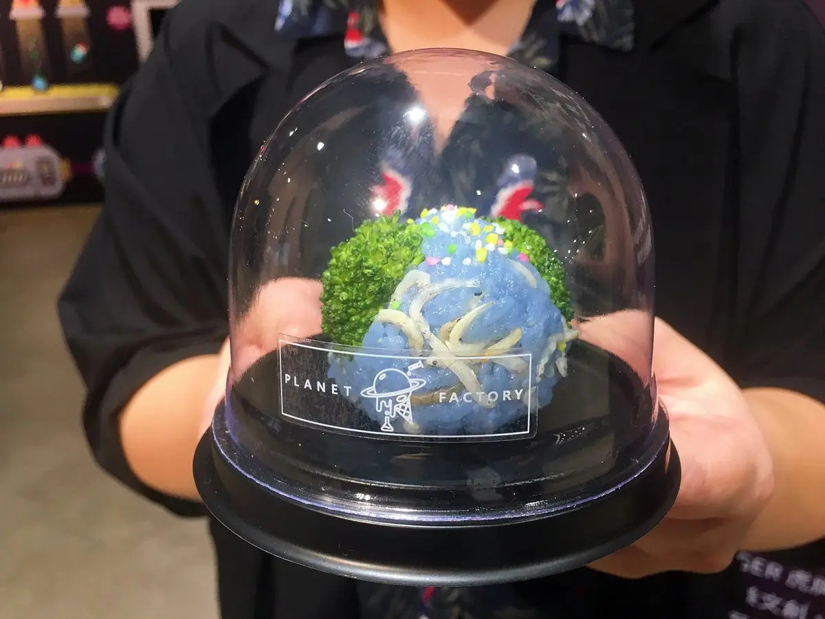 你來自哪顆星？幸運星球飯糰降落地球！