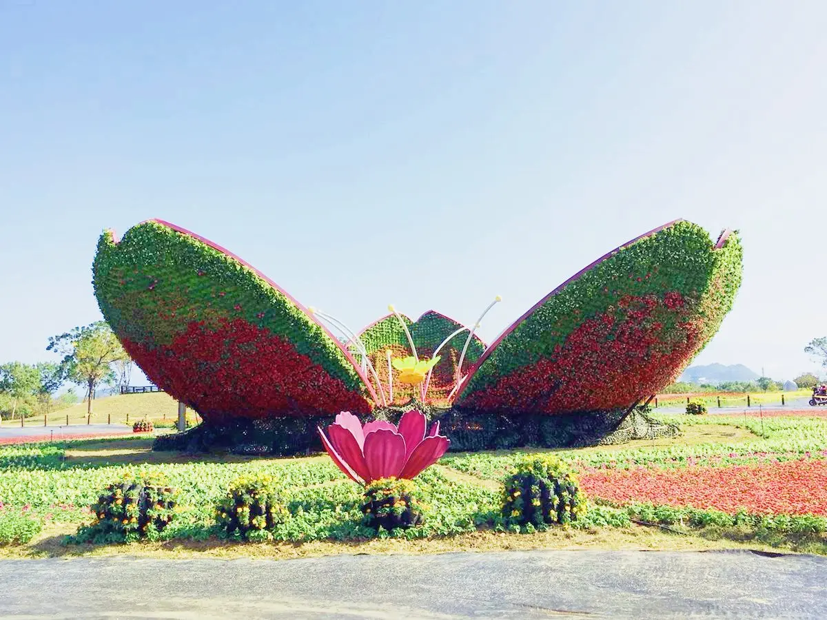 周末到「花毯節」踩點!22公頃、超過10萬株花草爭艷 周末到「花毯節」踩點!22公頃、超過10萬株花草爭艷