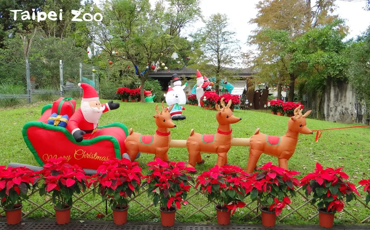 動物園過耶誕!新生寶寶初報到,動物保暖出奇招! 動物園過耶誕!新生寶寶初報到,動物保暖出奇招!