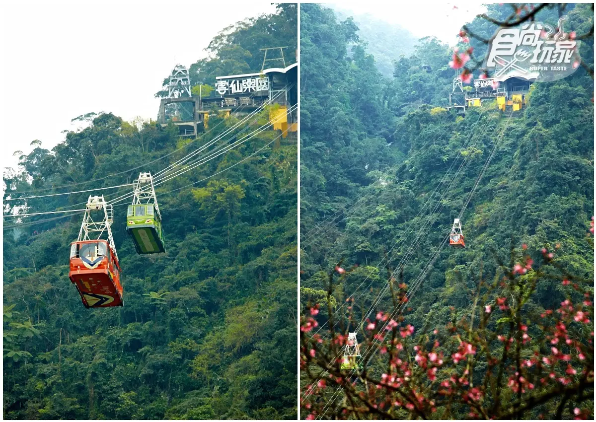 瘋玩23家樂園！屬狗免費、門票一折、買一送一優惠總整理