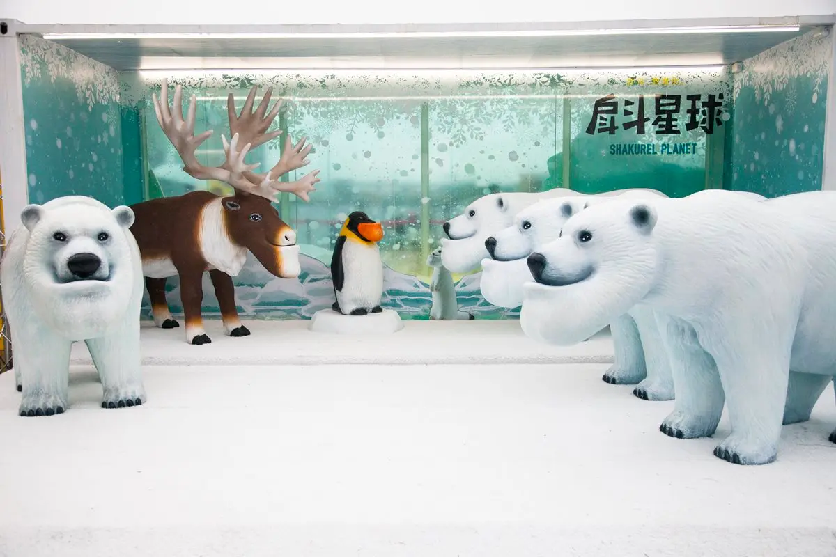 戽斗動物迷有福了！戽斗星球展門票只送不賣