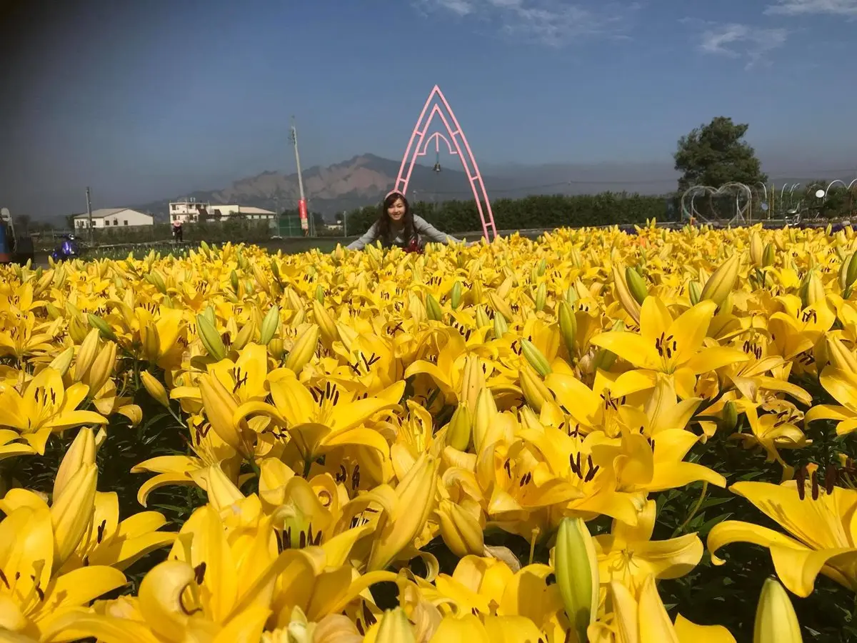 台灣美照搶拍!20萬株鬱金香攻佔IG版面 台灣美照搶拍!20萬株鬱金香攻佔IG版面