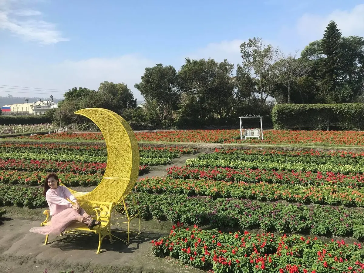 台灣美照搶拍!20萬株鬱金香攻佔IG版面 台灣美照搶拍!20萬株鬱金香攻佔IG版面
