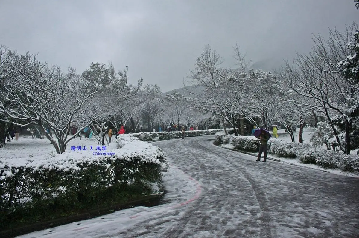 這週末台灣會下雪?霸王級寒流來襲雪景這裡看 這週末台灣會下雪?霸王級寒流來襲雪景這裡看