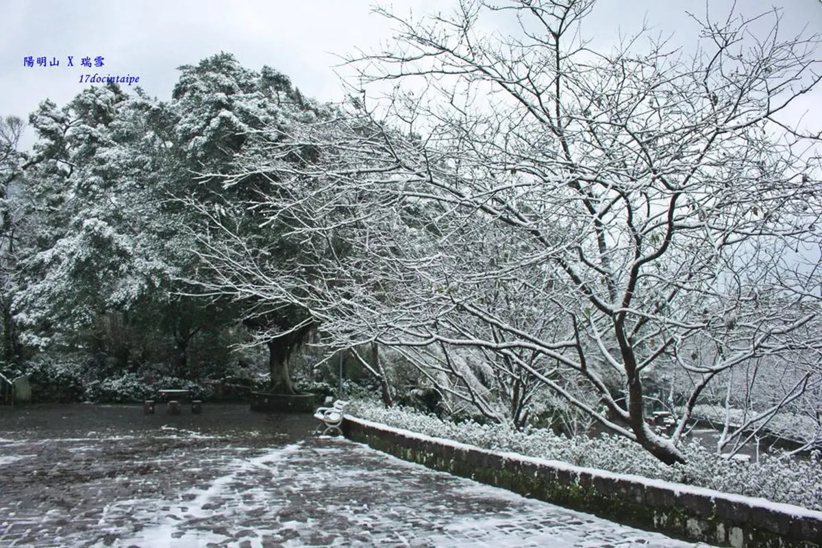 這週末台灣會下雪?霸王級寒流來襲雪景這裡看 這週末台灣會下雪?霸王級寒流來襲雪景這裡看