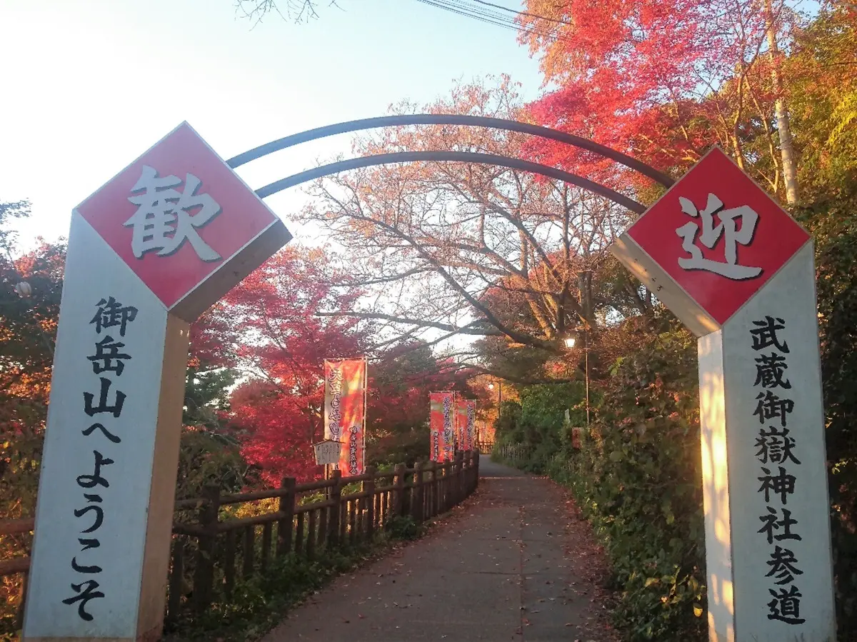 你不知道的東京！前往多摩探訪東京郊區的恬靜與舒適