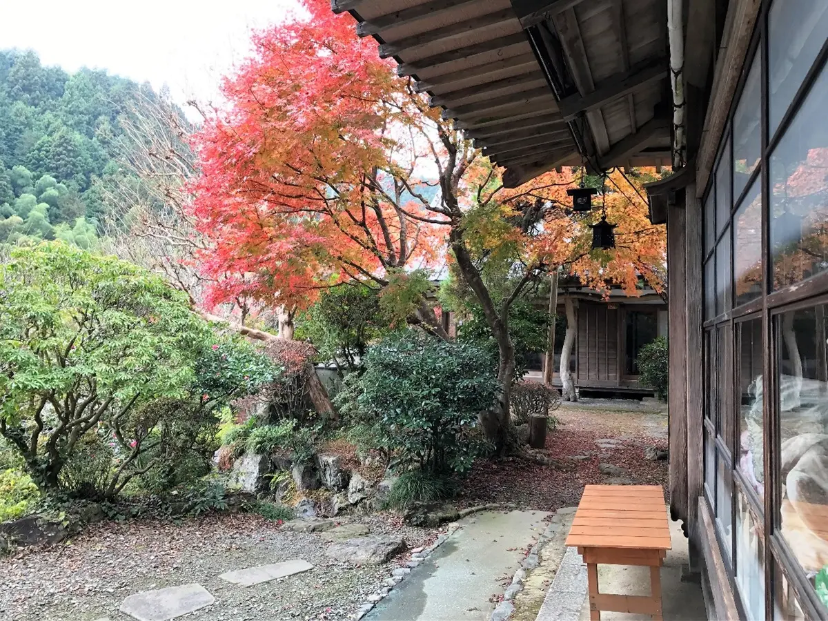 你不知道的東京！前往多摩探訪東京郊區的恬靜與舒適