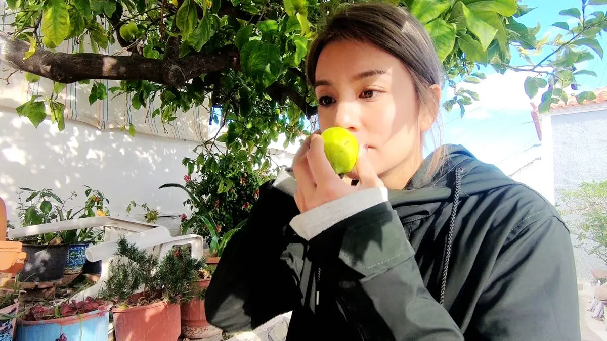 真正的玩家才懂這樣玩 騎小毛驢逛愛琴海超美小島 真正的玩家才懂這樣玩 騎小毛驢逛愛琴海超美小島