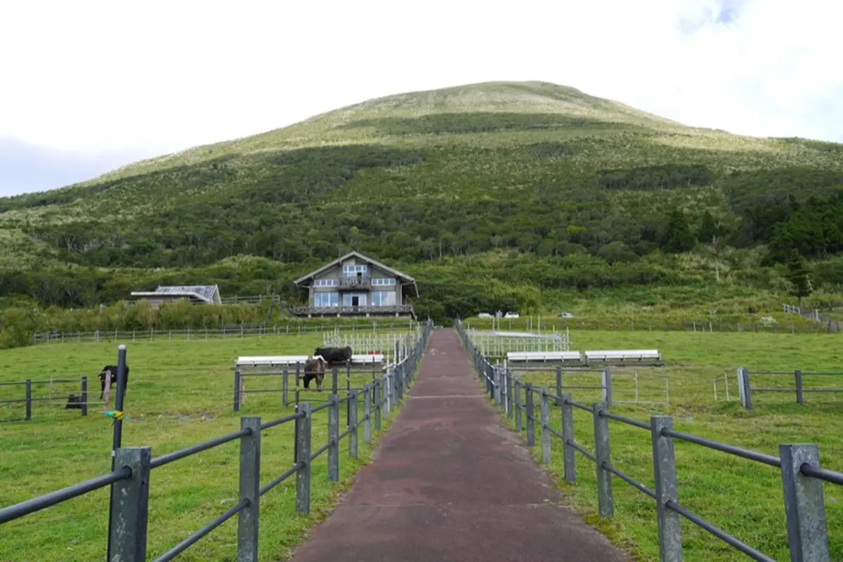 你不知道的東京!在八丈島、三宅島遇見南國的海與祕境奇景 你不知道的東京!在八丈島、三宅島遇見南國的海與祕境奇景