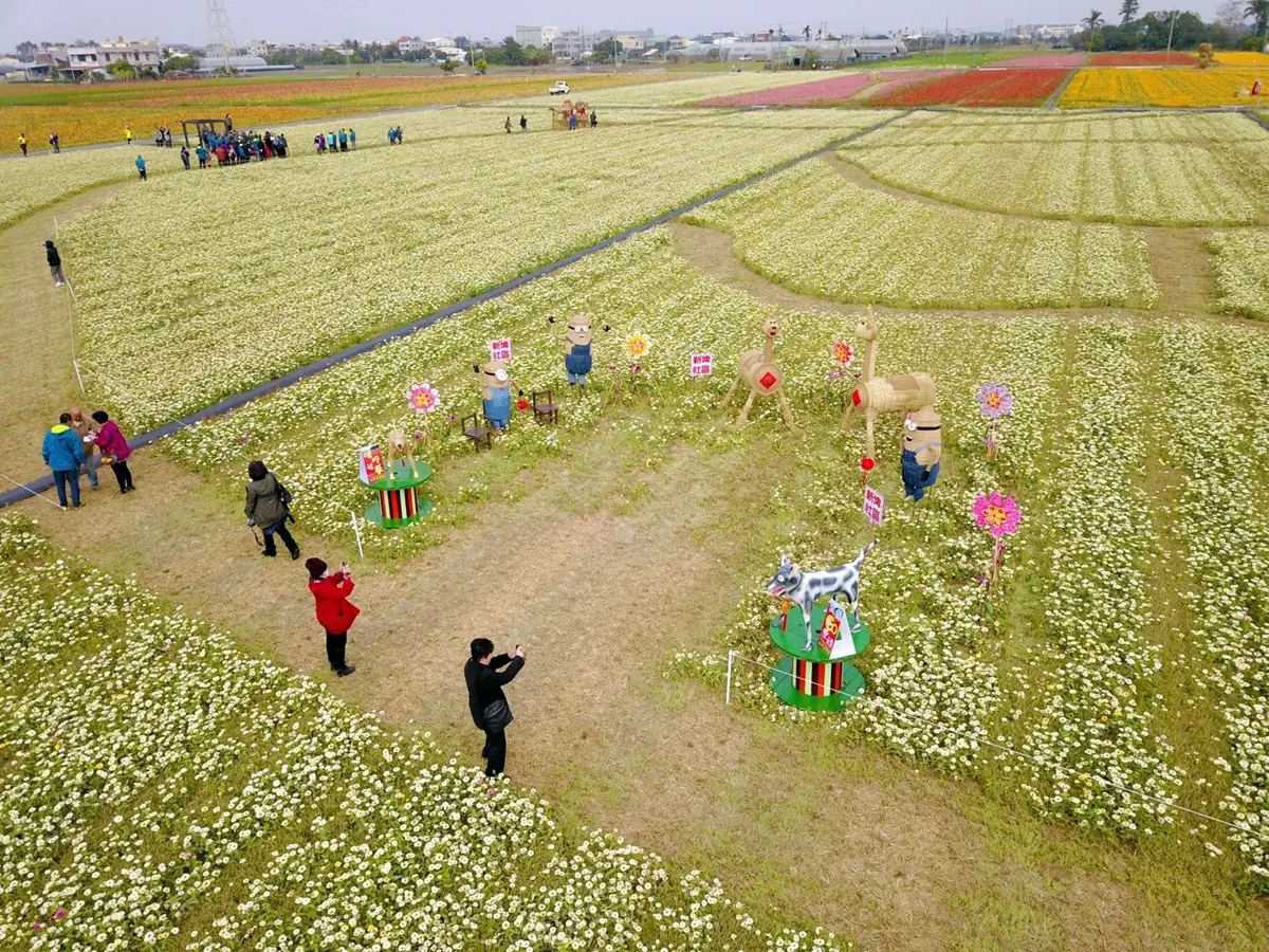 春遊熱點！賞彩虹花海還能免費玩大型扭蛋機