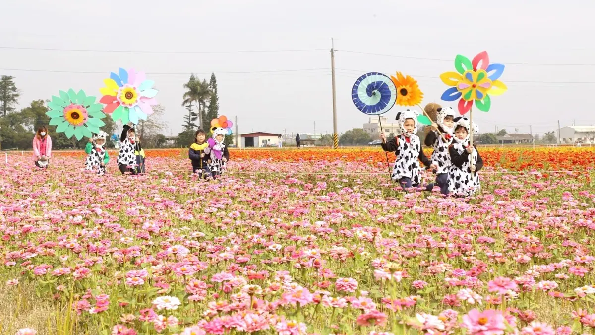 春遊熱點！賞彩虹花海還能免費玩大型扭蛋機