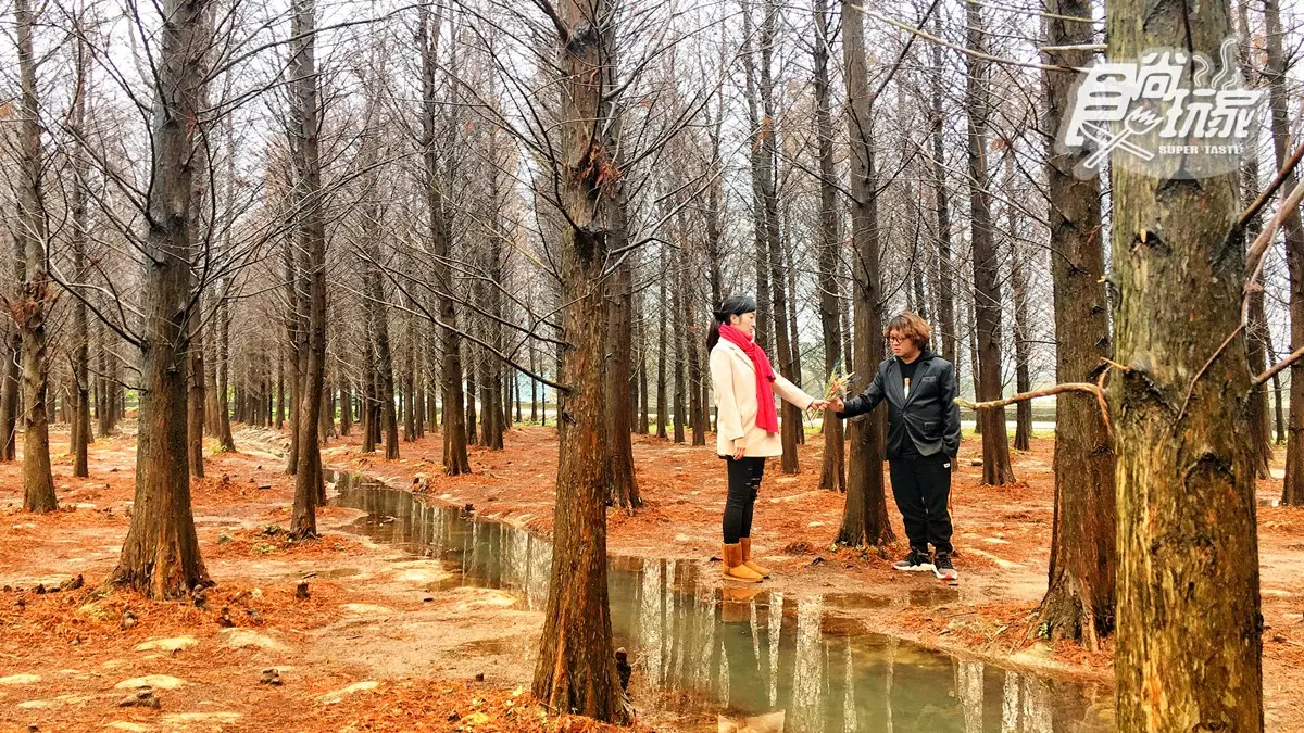 【節目預告】3/5〜3/8南投加料行程、台北打卡美食、桃園早鳥美饡、花蓮絕美住宿 【節目預告】3/5〜3/8南投加料行程、台北打卡美食、桃園早鳥美饡、花蓮絕美住宿