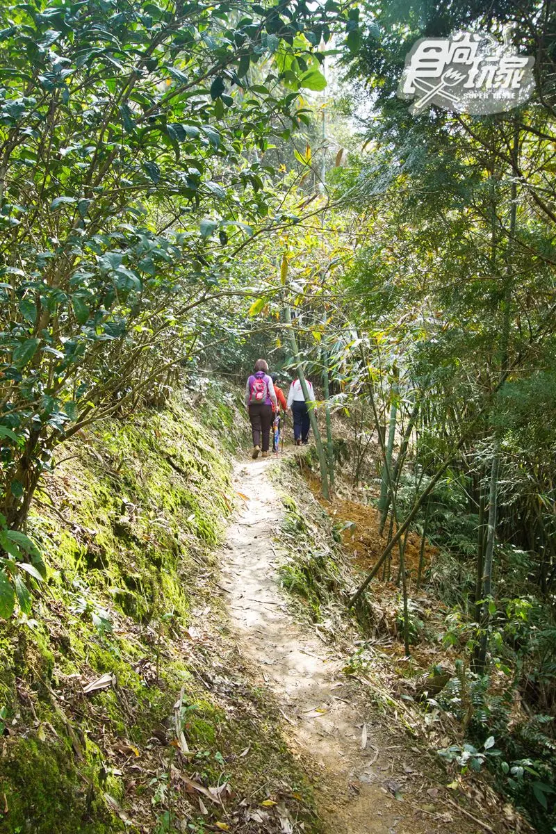 內行人才知道的水庫祕境，湖中竟有「巨型土虱、神龜」  