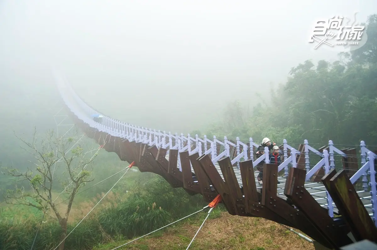 想吃草莓自己採！台北「內湖草莓季」夢幻登場
