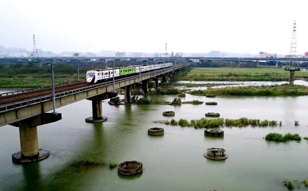 超萌生態列車  8大彩繪動物任你拍