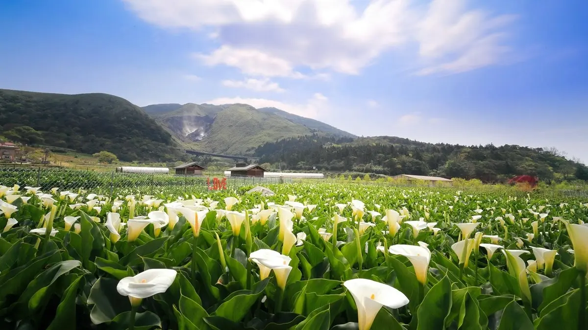 【春假怎麼玩】周末哪兒去!6個踏青賞花祕境大公開 【春假怎麼玩】周末哪兒去!6個踏青賞花祕境大公開