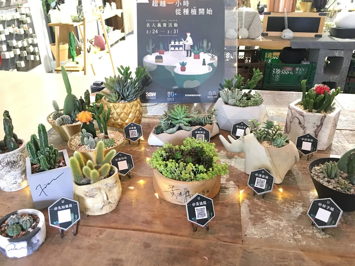 喝咖啡種多肉！全台星巴克響應「地球一小時」活動