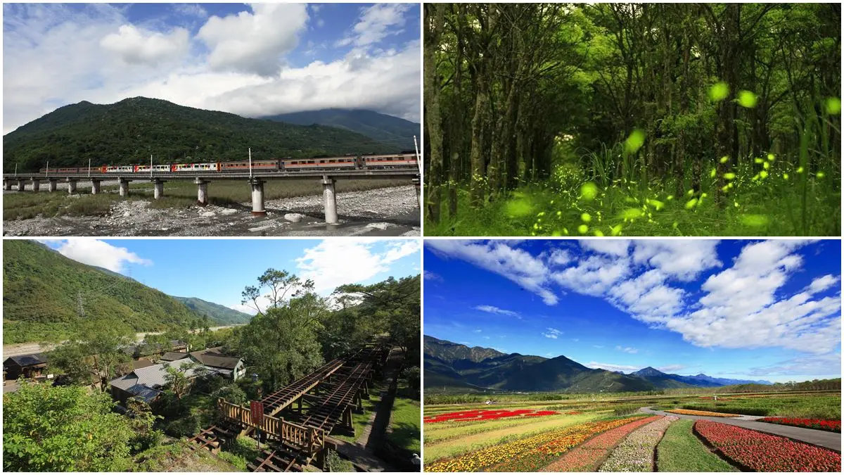 【春假怎麼玩】搭火車玩花東縱谷7站→第7站傳說中「龍貓隧道」一定要玩
