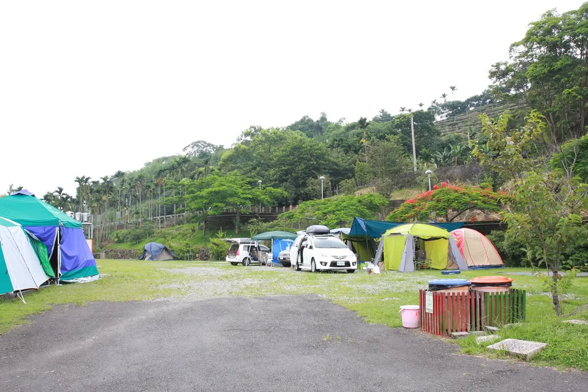 全台6個賞螢露營地！螢光菇、發光飛鼠、神木群一次看個夠