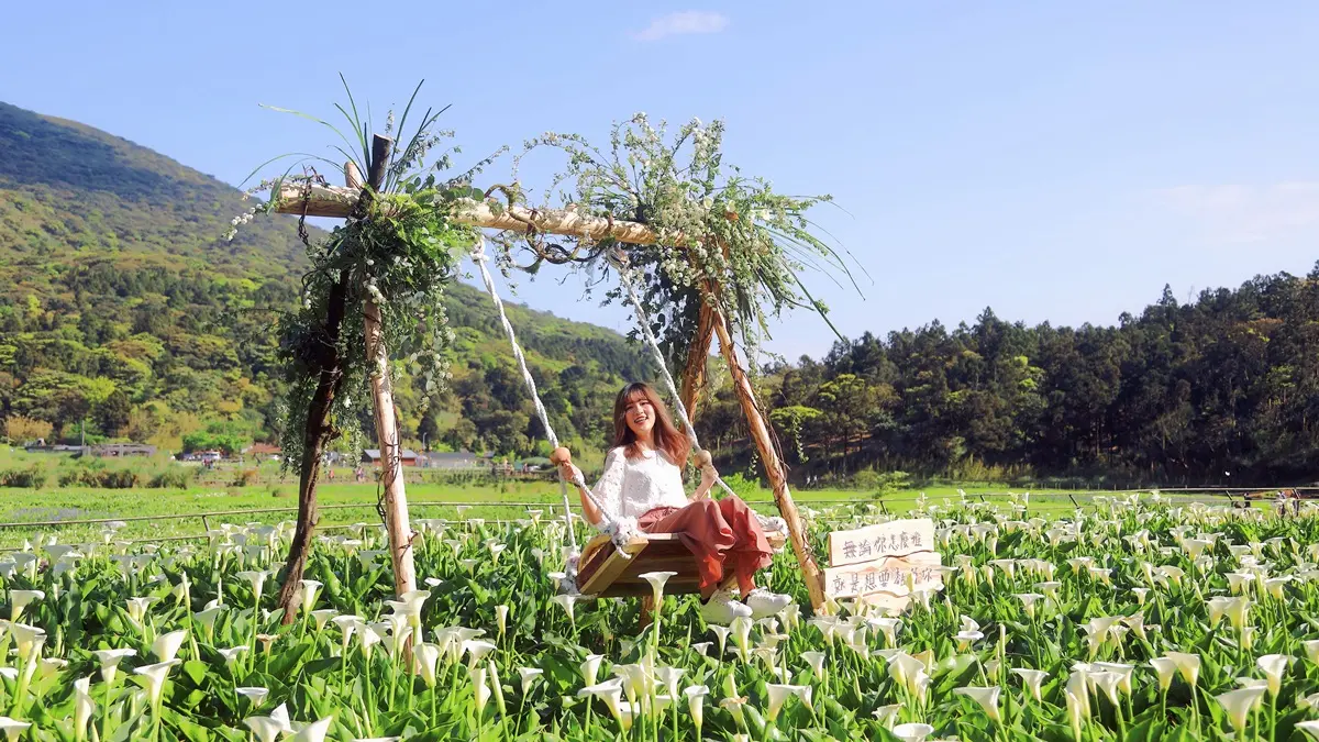 採海芋當網美!12個浪漫打卡熱點全公開 採海芋當網美!12個浪漫打卡熱點全公開