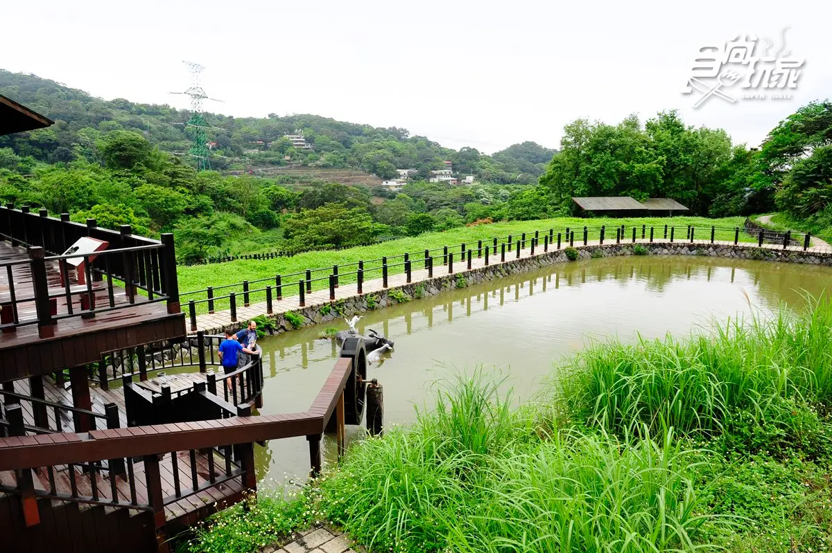 3條涼感步道快筆記，1H完走！貓纜桐花步道＋百年水圳步道＋瀑布繩梯步道