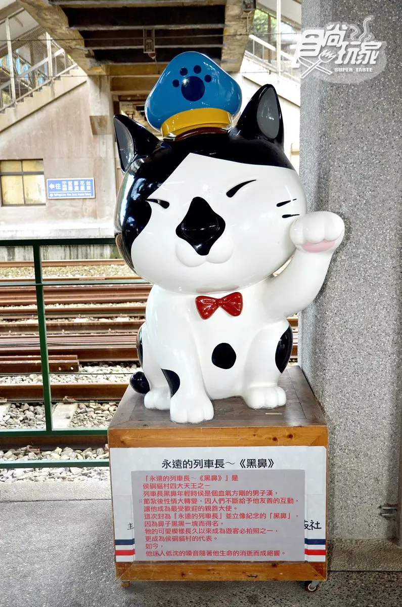 搭火車玩桐花祕境!40公尺瀑布、CNN推薦貓村、全台唯一獨眼小火車 搭火車玩桐花祕境!40公尺瀑布、CNN推薦貓村、全台唯一獨眼小火車