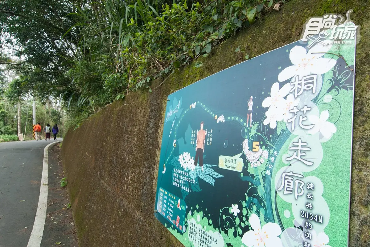 親子指定行程「2公里桐花走廊」！奇幻女神木、瀑布祕境、巨佛公園、臉譜彩繪