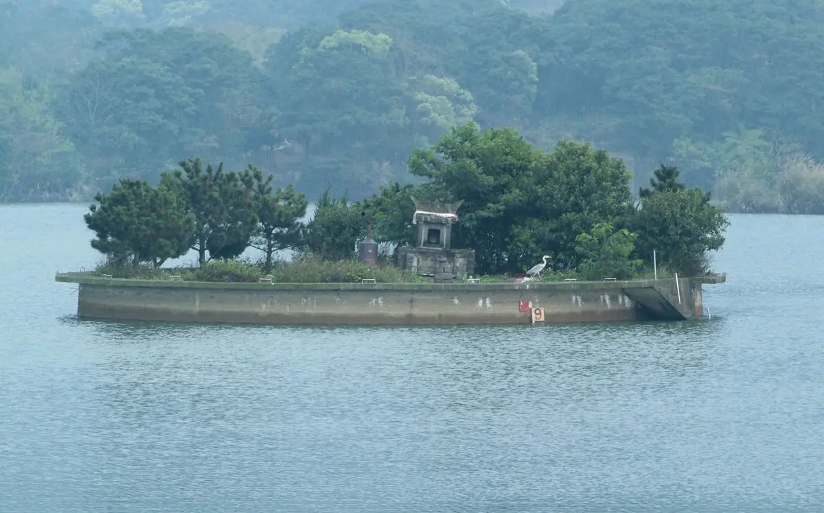 大溪古道賞桐一日遊！湖中土地公廟、金牌包二奶、黑豆干始祖