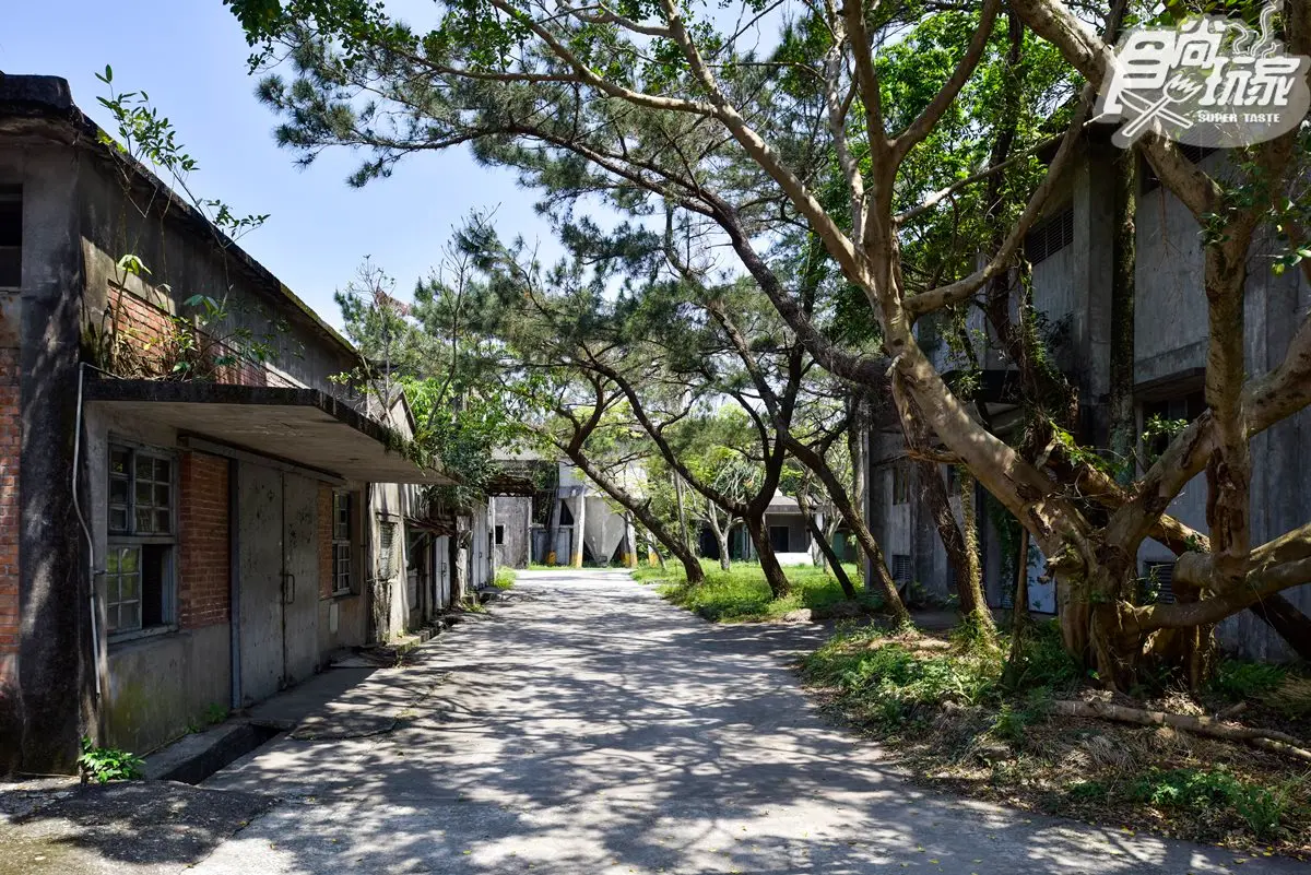 好想跟男友一起去！電影導演帶路宜蘭國中看海祕點+老紙廠拍網美照