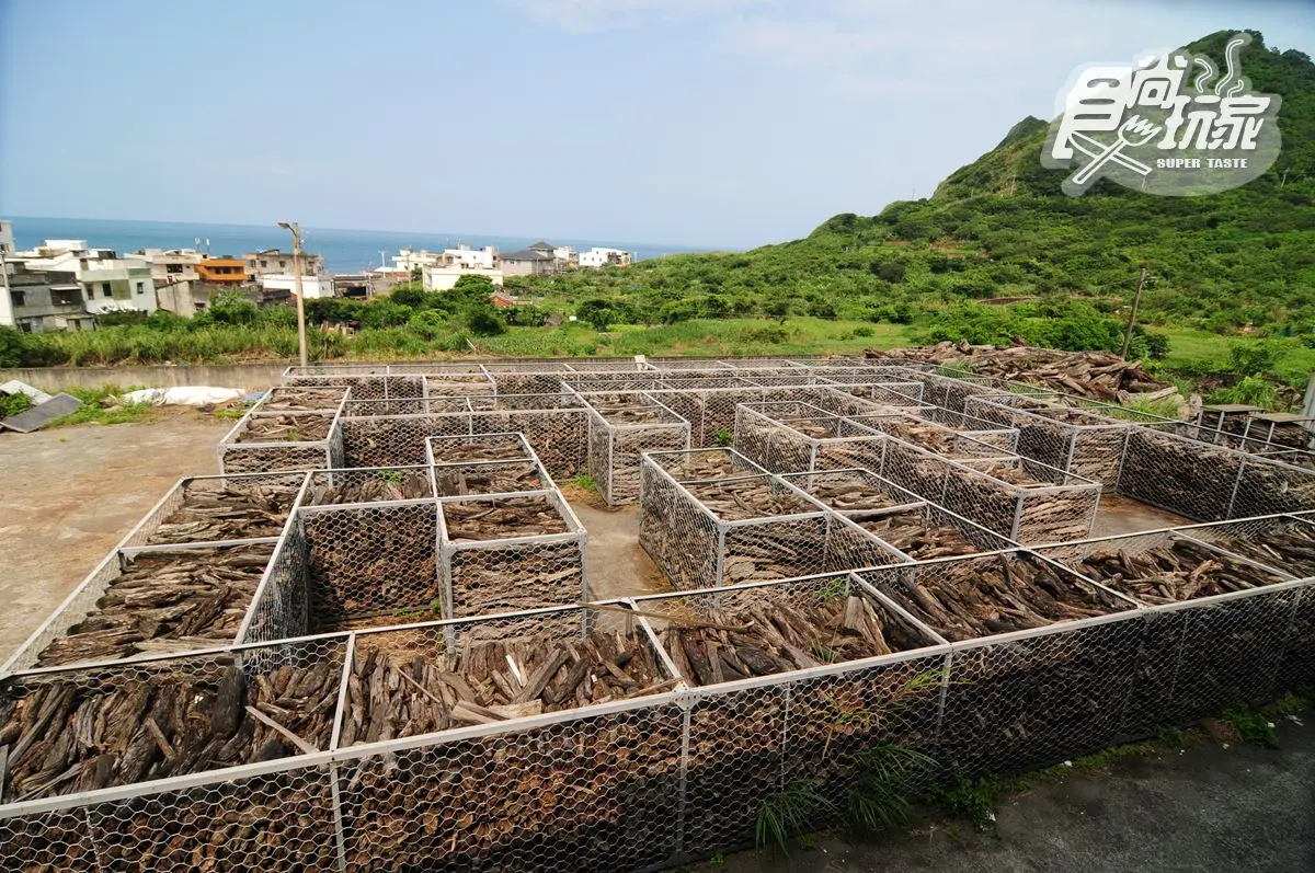 「萬里-三芝」7站涼感玩法!飛行傘當鳥人、超人氣仙草冰、海蝕洞戲水、漂流木迷宮 「萬里-三芝」7站涼感玩法!飛行傘當鳥人、超人氣仙草冰、海蝕洞戲水、漂流木迷宮
