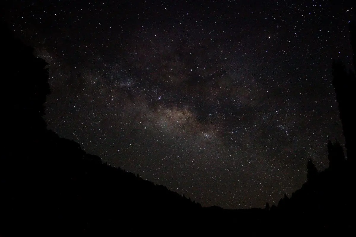 這是仙境吧？萬株繡球花盛開+螢火蟲祕境、無光害星空